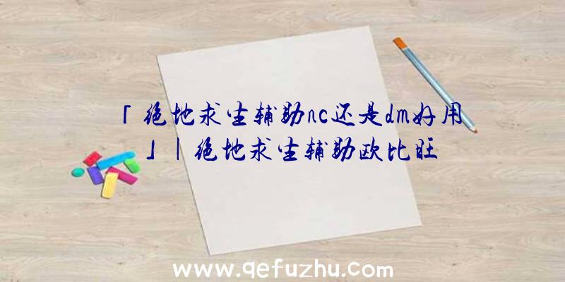 「绝地求生辅助nc还是dm好用」|绝地求生辅助欧比旺